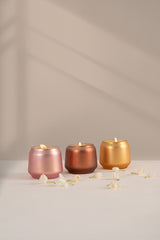 Scented Carnival - Votive | Set Of 3