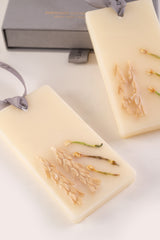 Night Jasmine - Wax Tablets